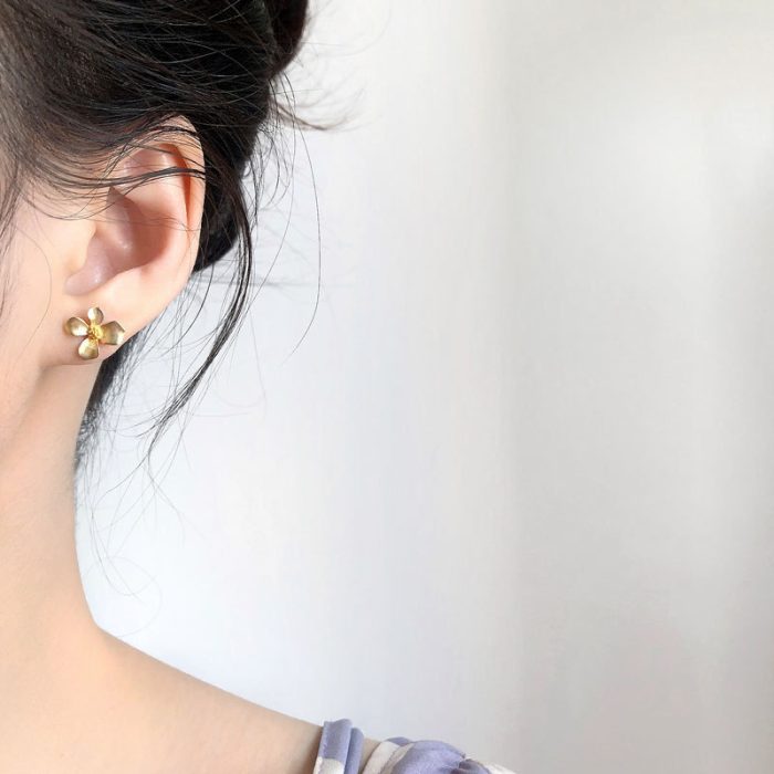 925 Sterling Silver Jewelry Earrings for Women - Image 2
