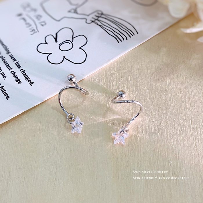925 Sterling Silver Fashion Star Rotating Stud Earrings - Image 3