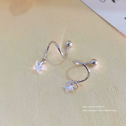 925 Sterling Silver Fashion Star Rotating Stud Earrings - Image 4