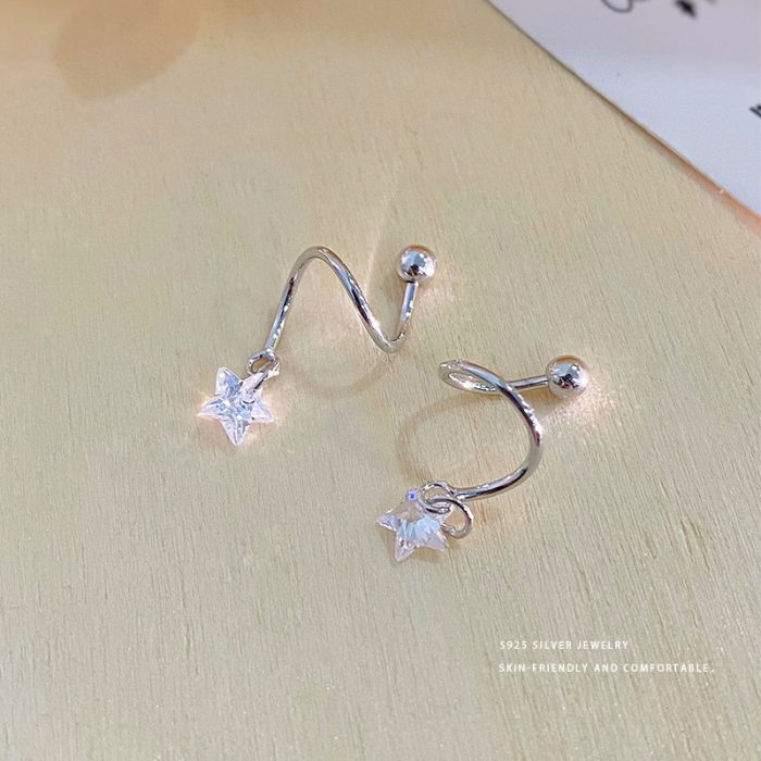 925 Sterling Silver Fashion Star Rotating Stud Earrings - Image 4