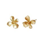 925 Sterling Silver Jewelry Earrings for Women